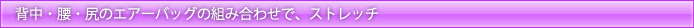 wEEK̃GA[obȎgݍ킹ŁAXgb`
